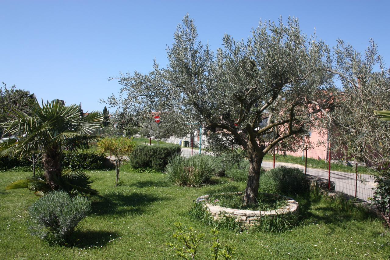 Lorena With Sea View Rovigno Esterno foto